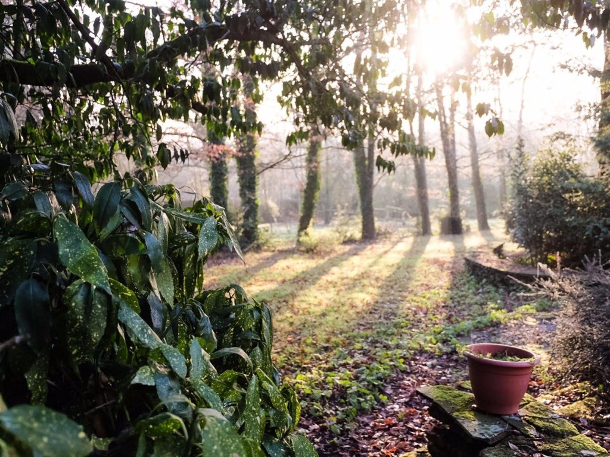La Guilbaudiere Bed & Breakfast Saint-Herblain Luaran gambar